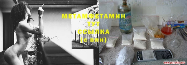 стаф Горняк