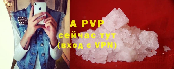 стаф Горняк