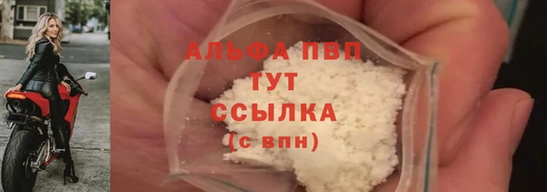 стаф Горняк