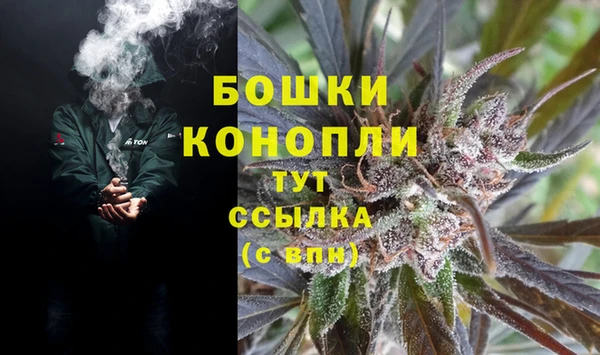 стаф Горняк
