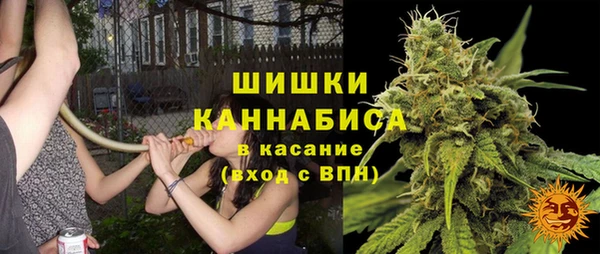 стаф Горняк