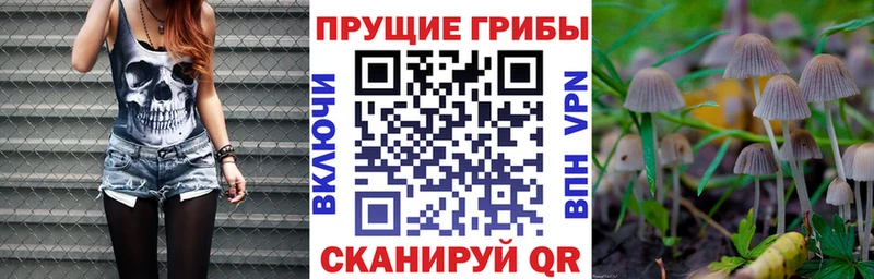 Псилоцибиновые грибы мицелий  Купить где  Озёрск 